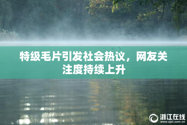特级毛片引发社会热议，网友关注度持续上升