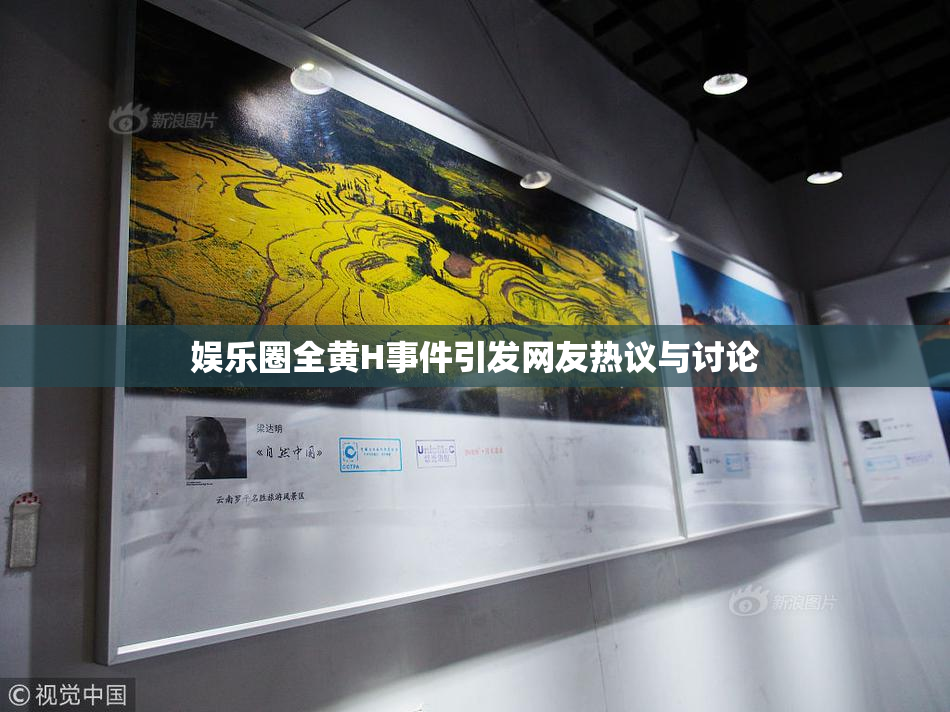 娱乐圈全黄H事件引发网友热议与讨论