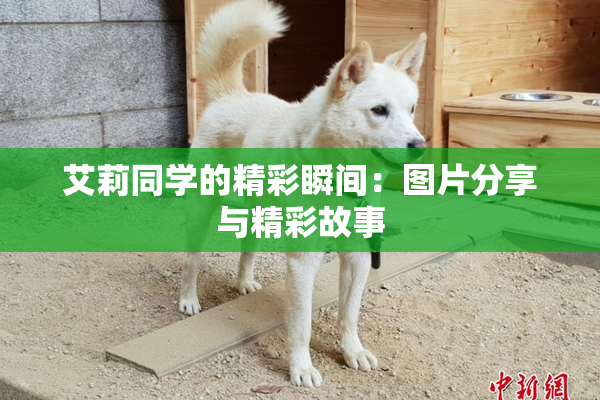 艾莉同学的精彩瞬间：图片分享与精彩故事