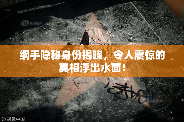 纲手隐秘身份揭晓，令人震惊的真相浮出水面！
