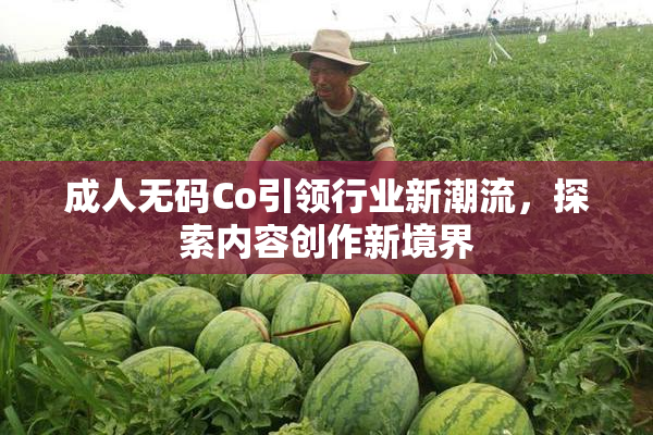 成人无码Co引领行业新潮流，探索内容创作新境界