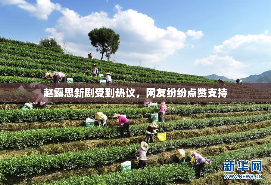 赵露思新剧受到热议，网友纷纷点赞支持