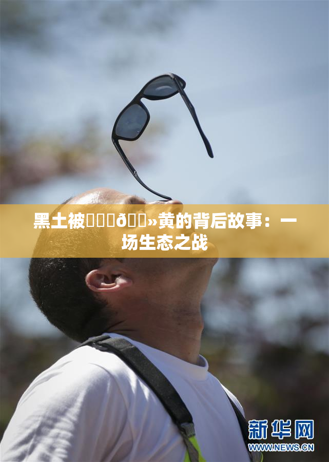 黑土被❌‌‌🐻黄的背后故事：一场生态之战