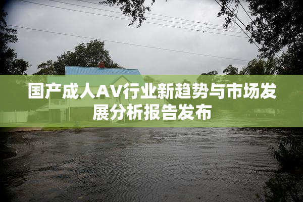 国产成人AV行业新趋势与市场发展分析报告发布