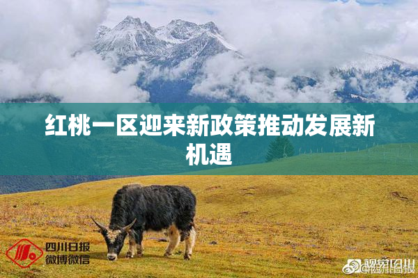 红桃一区迎来新政策推动发展新机遇