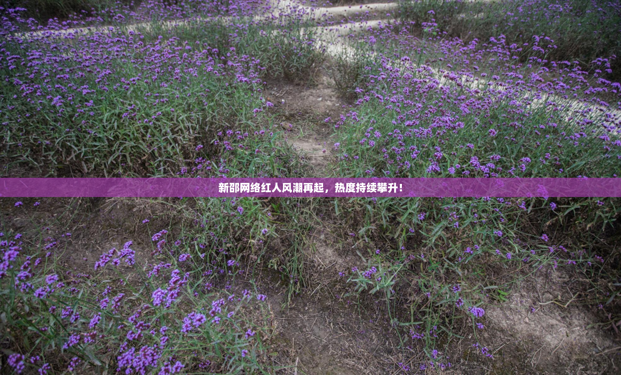 新邵网络红人风潮再起，热度持续攀升！