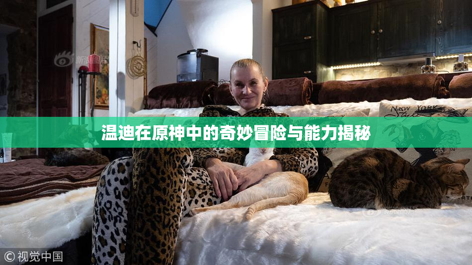 温迪在原神中的奇妙冒险与能力揭秘
