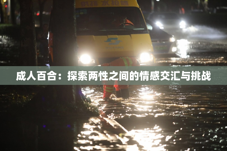 成人百合：探索两性之间的情感交汇与挑战
