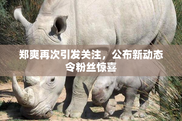 郑爽再次引发关注，公布新动态令粉丝惊喜