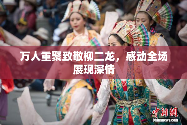 万人重聚致敬柳二龙，感动全场展现深情