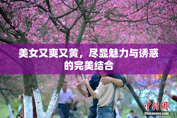 美女又爽又黄，尽显魅力与诱惑的完美结合
