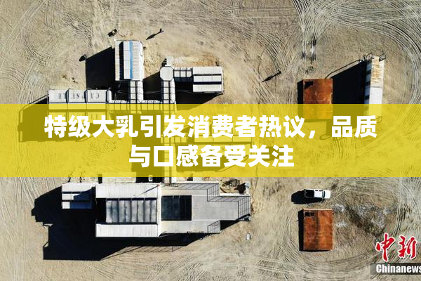 特级大乳引发消费者热议，品质与口感备受关注