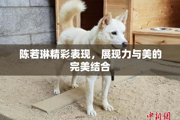 陈若琳精彩表现，展现力与美的完美结合