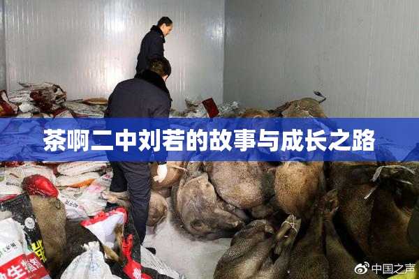 茶啊二中刘若的故事与成长之路