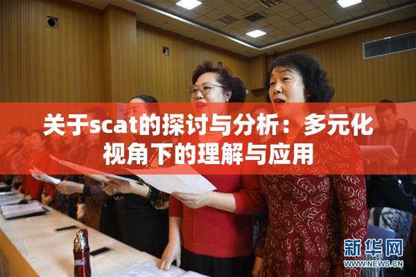 关于scat的探讨与分析：多元化视角下的理解与应用