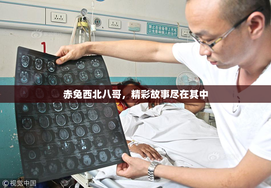 赤兔西北八哥，精彩故事尽在其中