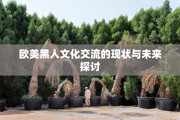 欧美黑人文化交流的现状与未来探讨