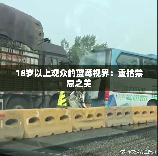 18岁以上观众的蓝莓视界：重拾禁忌之美