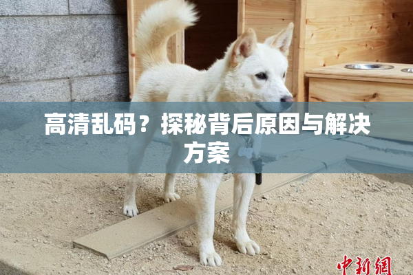 高清乱码？探秘背后原因与解决方案