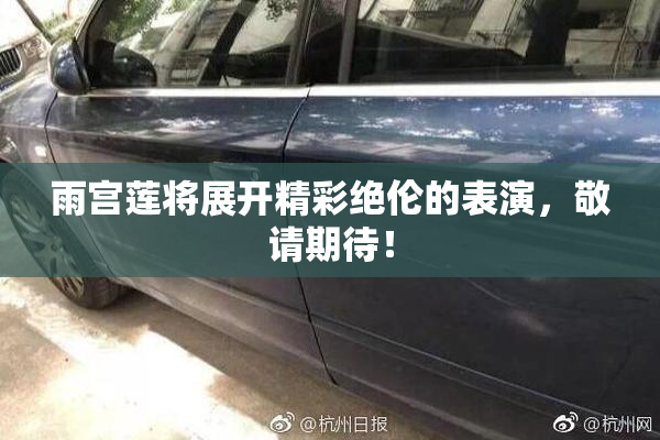 雨宫莲将展开精彩绝伦的表演，敬请期待！