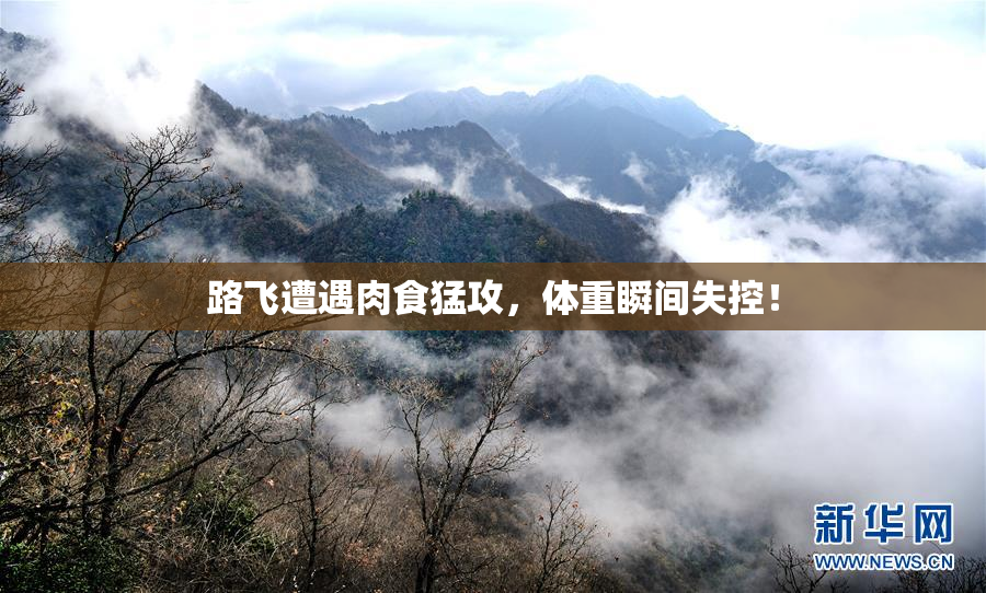 路飞遭遇肉食猛攻，体重瞬间失控！