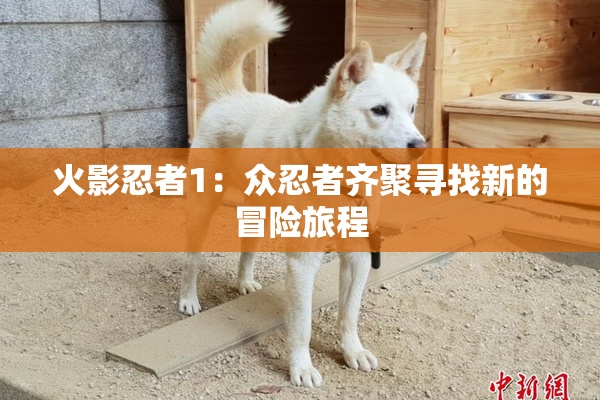 火影忍者1：众忍者齐聚寻找新的冒险旅程