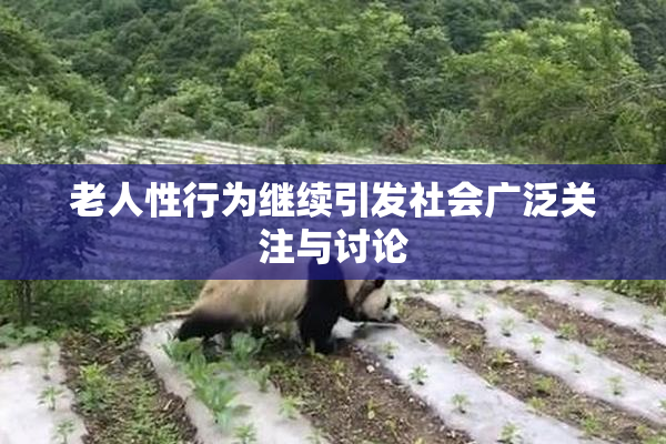 老人性行为继续引发社会广泛关注与讨论