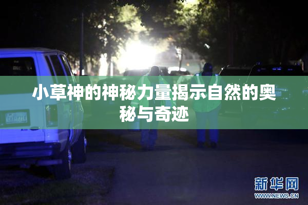 小草神的神秘力量揭示自然的奥秘与奇迹