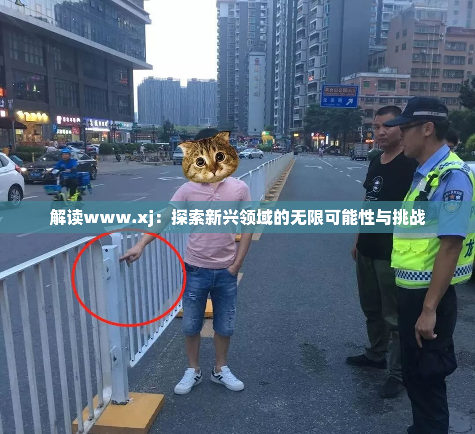 解读www.xj：探索新兴领域的无限可能性与挑战