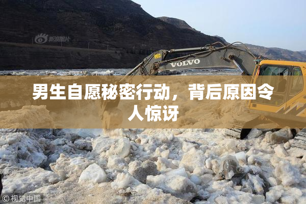 男生自愿秘密行动，背后原因令人惊讶