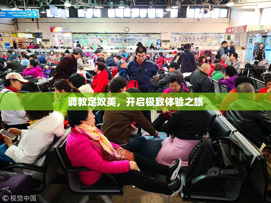 调教足奴美，开启极致体验之旅