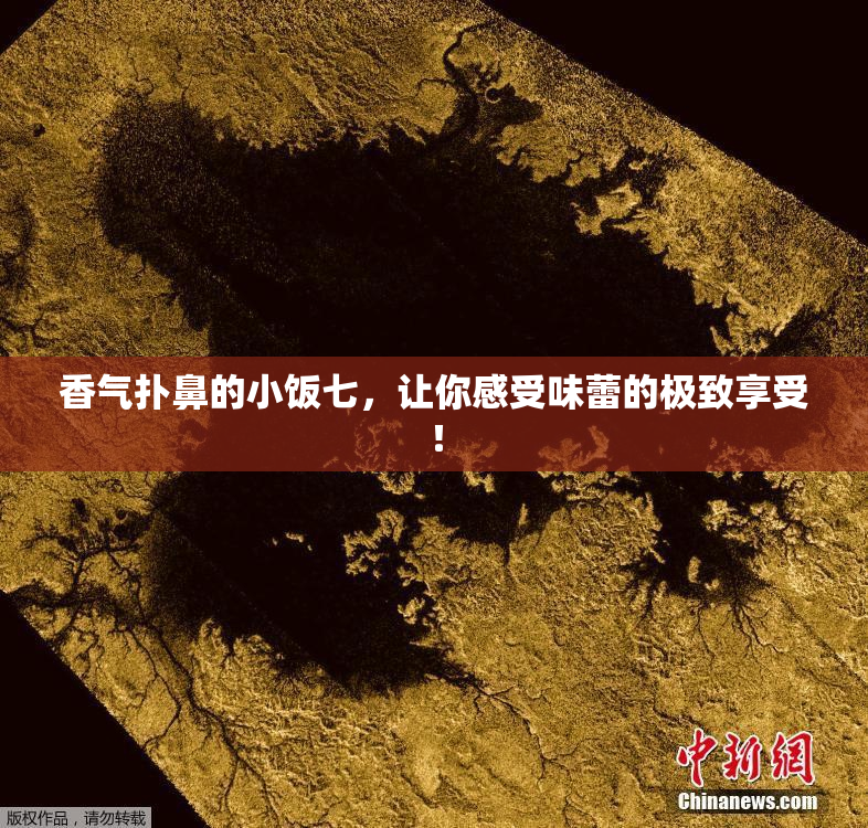 香气扑鼻的小饭七，让你感受味蕾的极致享受！