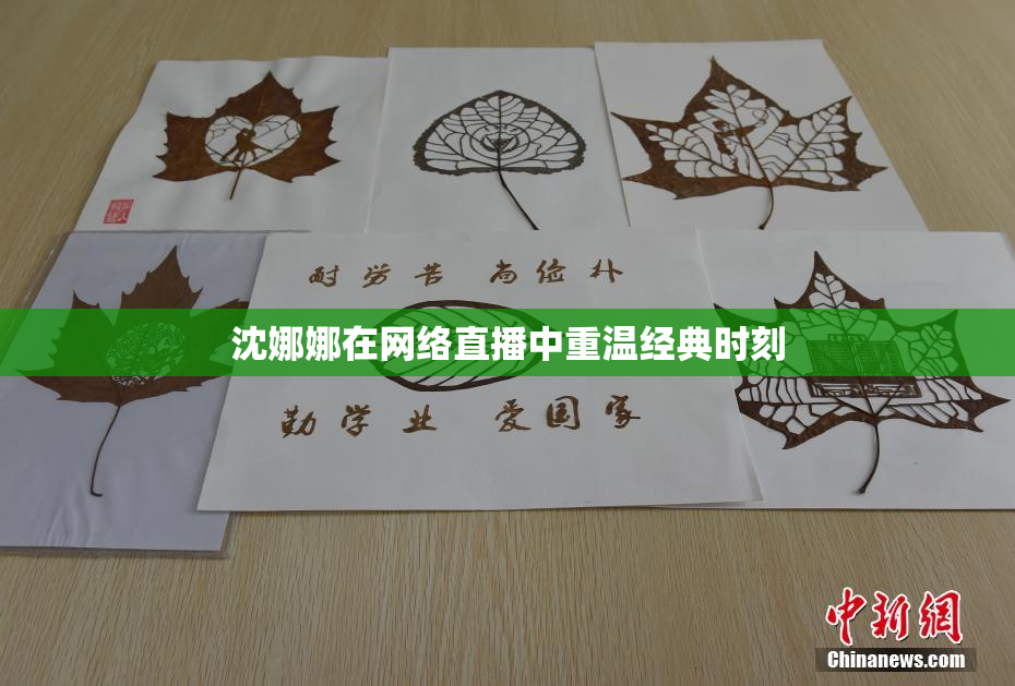 沈娜娜在网络直播中重温经典时刻