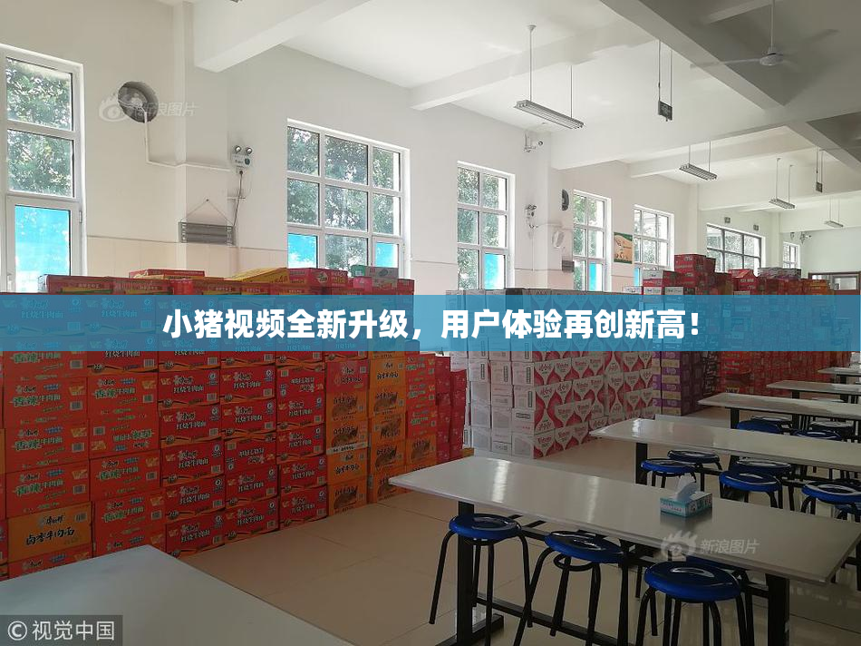 小猪视频全新升级，用户体验再创新高！