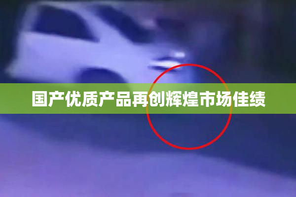 国产优质产品再创辉煌市场佳绩