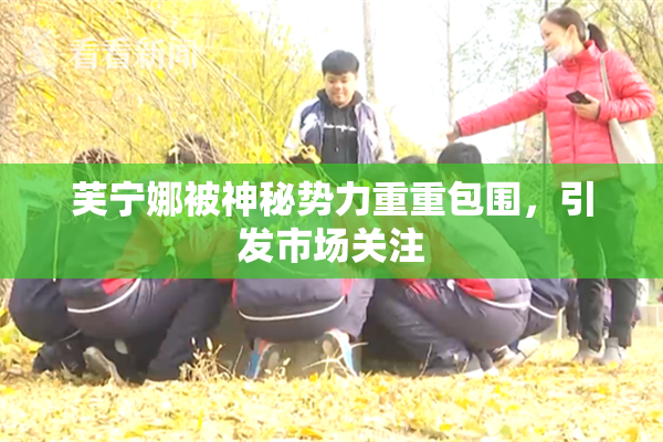 芙宁娜被神秘势力重重包围，引发市场关注