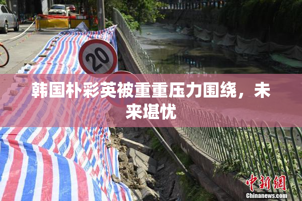 韩国朴彩英被重重压力围绕，未来堪忧