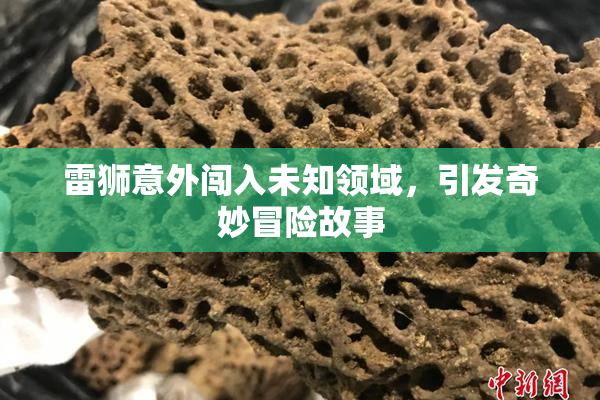 雷狮意外闯入未知领域，引发奇妙冒险故事
