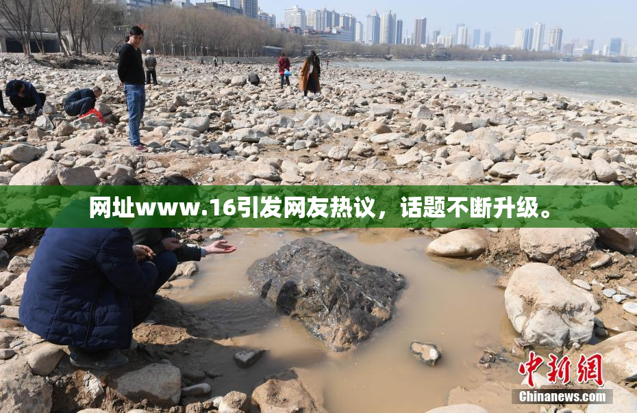 网址www.16引发网友热议，话题不断升级。