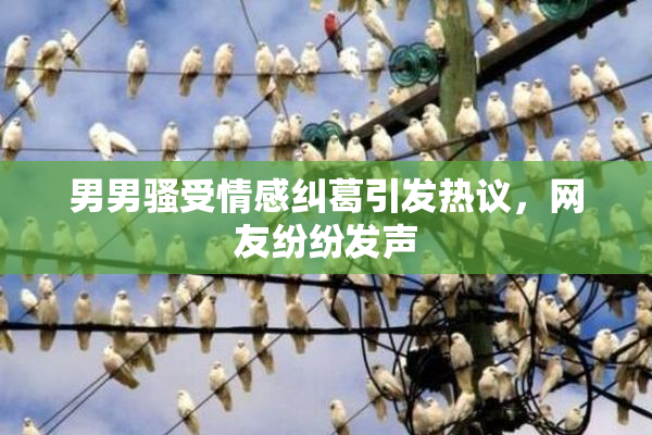 男男骚受情感纠葛引发热议，网友纷纷发声