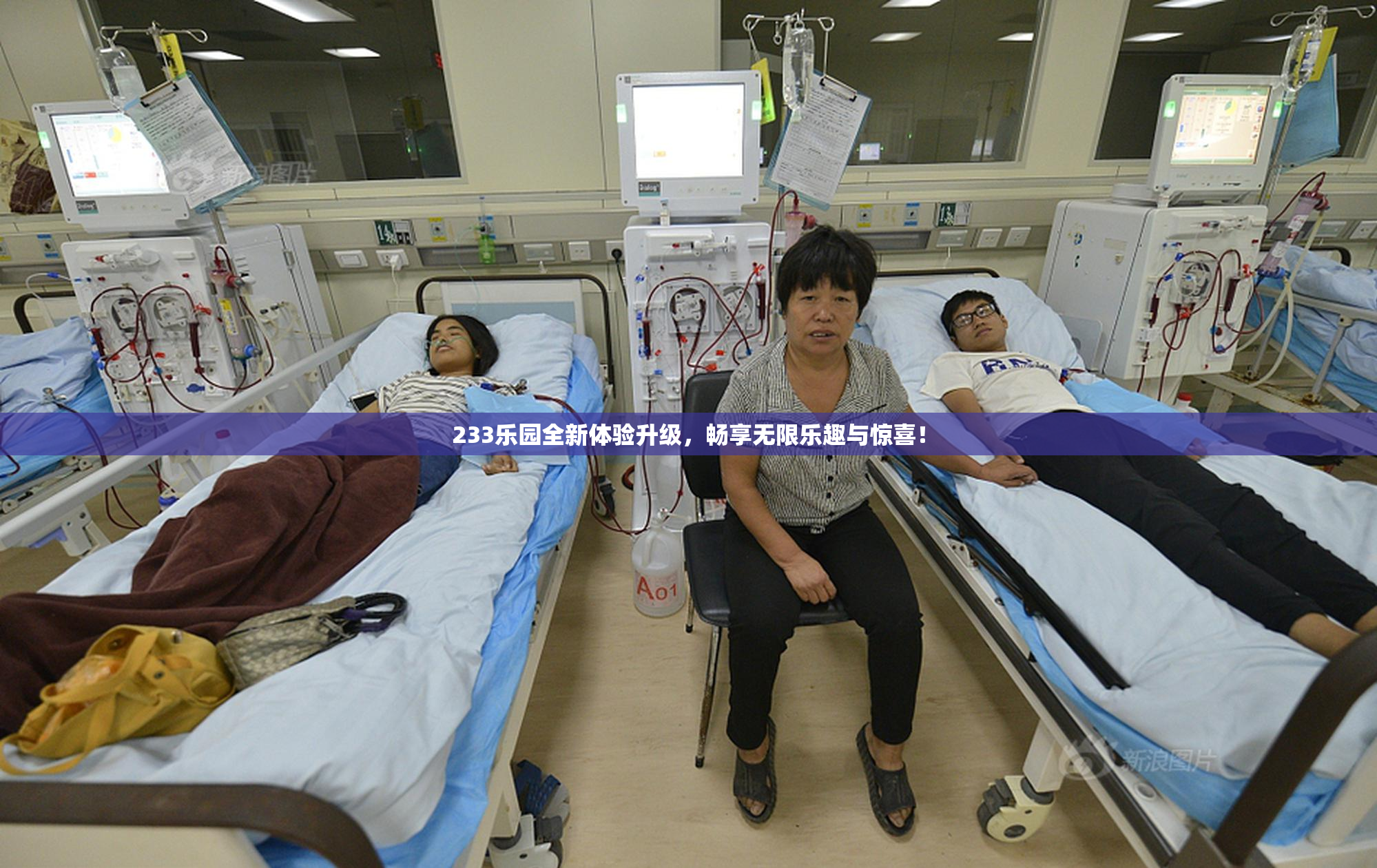 233乐园全新体验升级，畅享无限乐趣与惊喜！