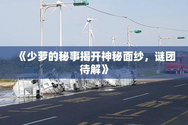 《少萝的秘事揭开神秘面纱，谜团待解》