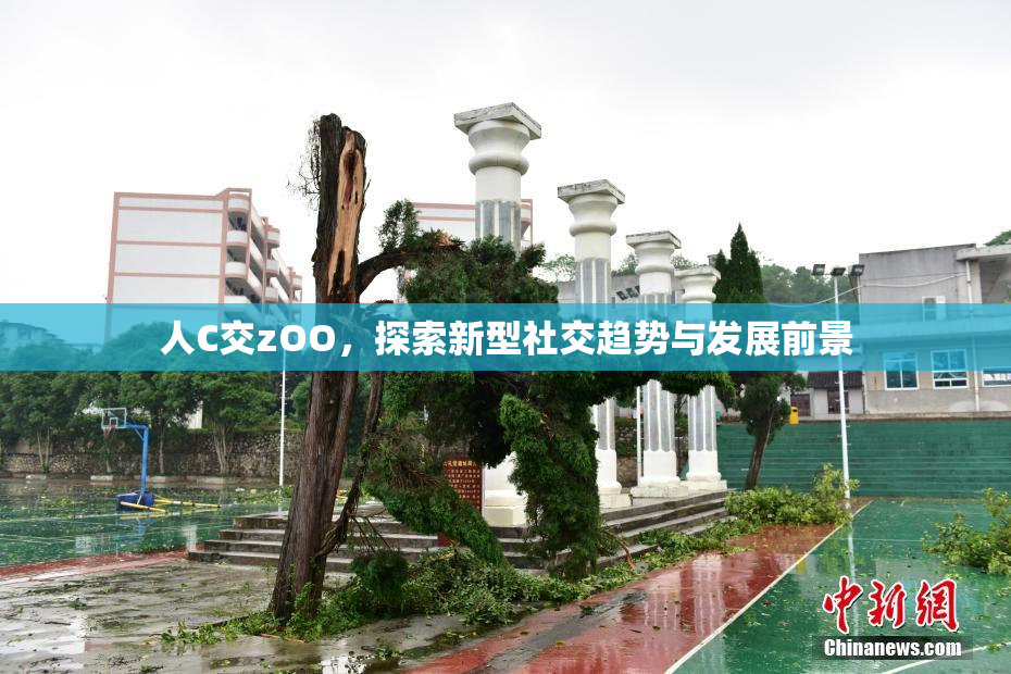 人C交zOO，探索新型社交趋势与发展前景