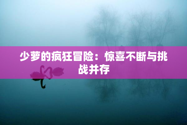 少萝的疯狂冒险：惊喜不断与挑战并存