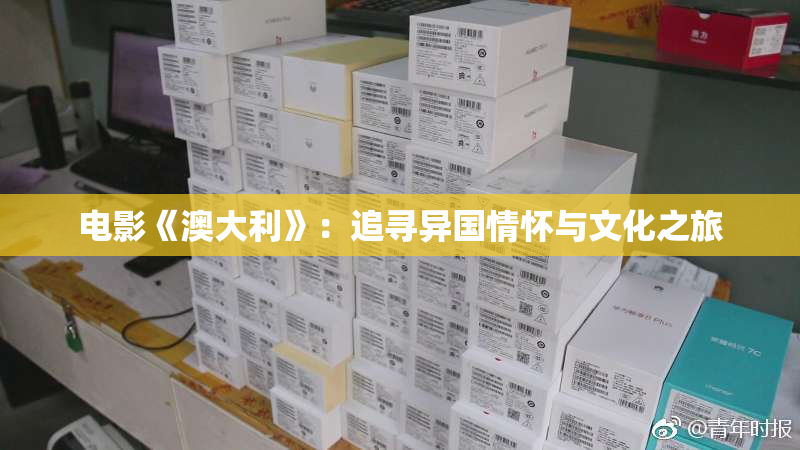 电影《澳大利》：追寻异国情怀与文化之旅