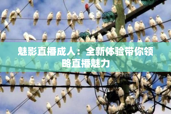 魅影直播成人：全新体验带你领略直播魅力