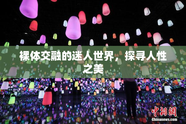 裸体交融的迷人世界，探寻人性之美