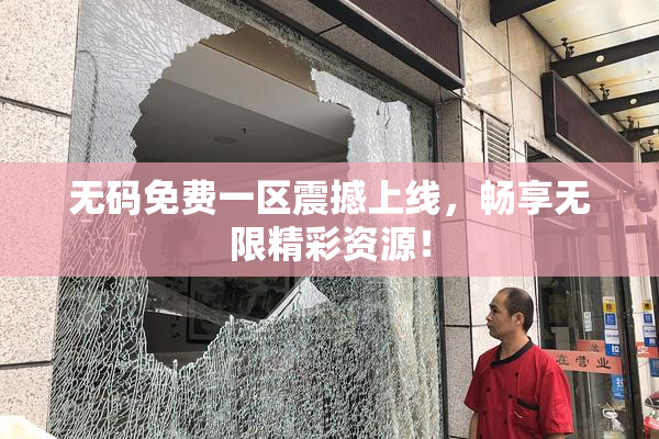 无码免费一区震撼上线，畅享无限精彩资源！