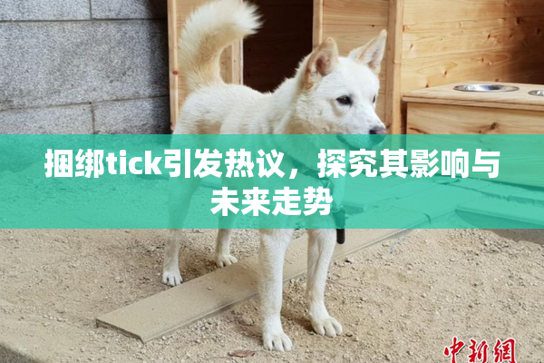捆绑tick引发热议，探究其影响与未来走势