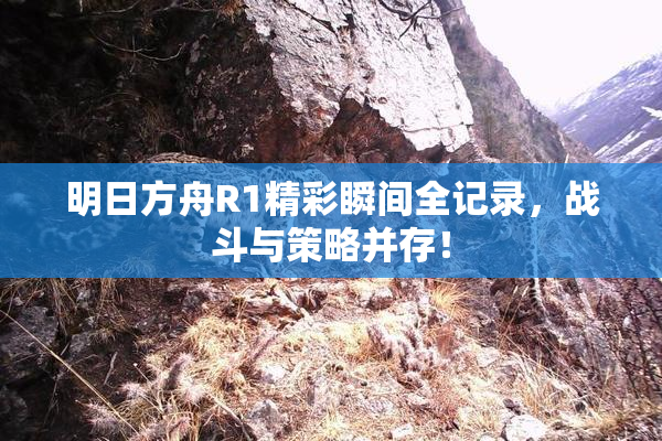 明日方舟R1精彩瞬间全记录，战斗与策略并存！